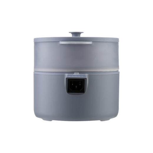 伊莱克斯 多用锅紫色 EGFS-5160 商品图2