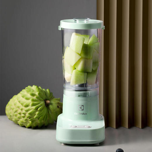 伊莱克斯 果汁机 EGBR-5010 商品图5