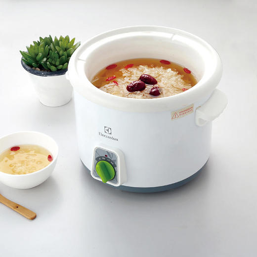 伊莱克斯 True-love电炖锅 EGSC-250 商品图1