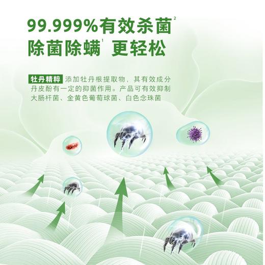 洁劲100衣物除菌液/1kg 商品图4