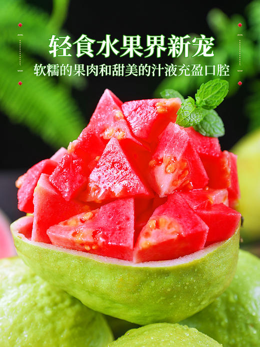 【树上熟芭乐！人称水果届“脂肪杀手”！】奶油胭脂红芭乐！树熟大果！热量低！并且含有丰富的维C！甜！香！糯！SGXH2401 商品图3