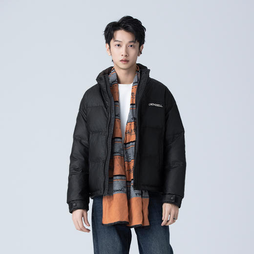 HXTIDE 冬季短款立领羽绒服90白鸭绒/S100340244101/02 商品图3