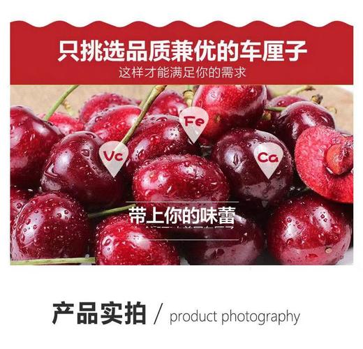 智利 桑缇娜车厘子【FY】 商品图4