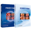 2本套 宫颈癌手术图解+卵巢癌手术图解 韩世超王军 人卫宫腔腹腔镜盆底盆腔肿瘤解剖卵巢指南妇产科学手术视频图谱人民卫生出版社 商品缩略图1