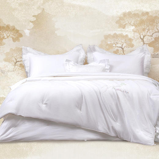 多喜爱 神州丝韵纯桑蚕丝子母被（七彩琦锦）cs 商品图0