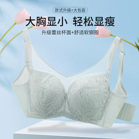 贝佳人薄款透气聚拢大杯内衣抹胸型防走光正品文胸B91606
