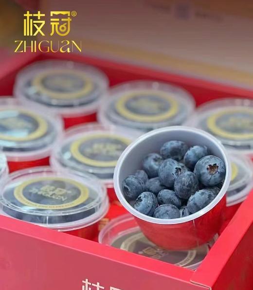 云南枝冠超能蓝莓杯18mm+ 商品图0