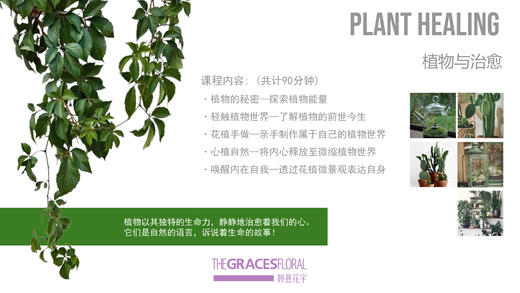 沙龙课-花植 商品图1