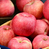 【洛川苹果5斤】|拥有恰到好处的酸甜比 颜色红火又喜庆，口感脆甜、多汁、不打蜡、不催熟，是出口世界六大洲的“国礼苹果” 商品缩略图2