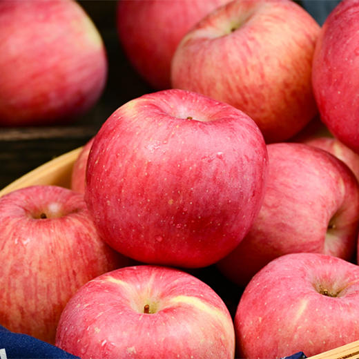 【洛川苹果5斤】|拥有恰到好处的酸甜比 颜色红火又喜庆，口感脆甜、多汁、不打蜡、不催熟，是出口世界六大洲的“国礼苹果” 商品图2