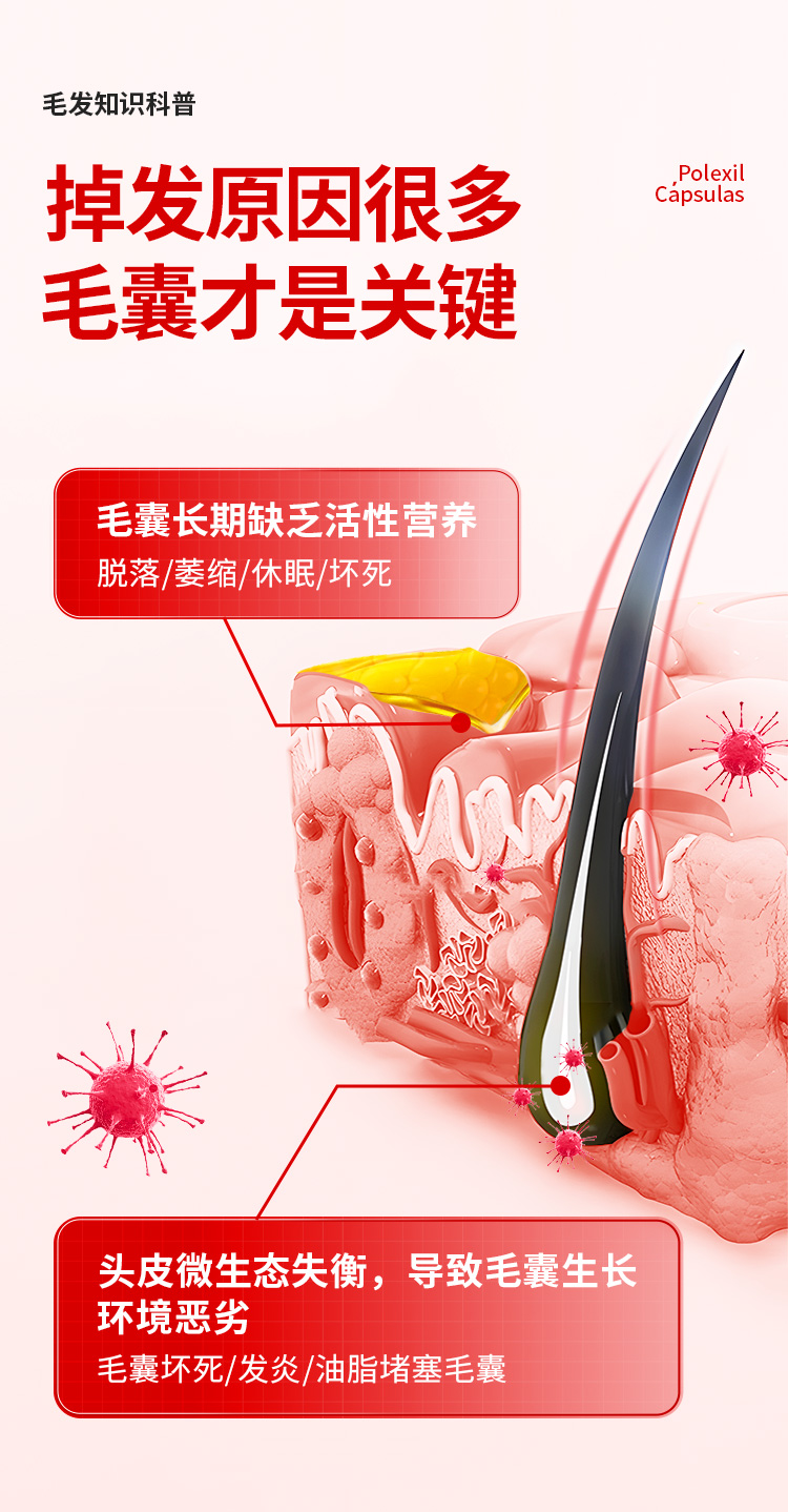 【西班牙防脱生发胶囊】*1盒 Pilexil 佩力丝小红丸防脱生发锯叶棕固发软胶囊 - 青丝几何海外店