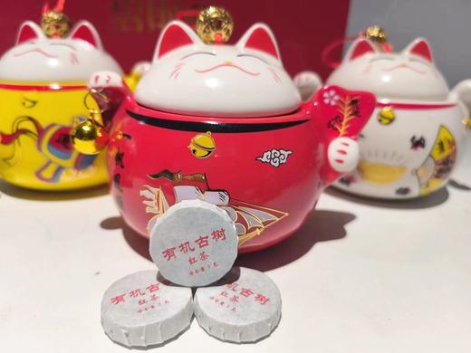 菜头商城 四方招财猫 有机古树红茶 净含量260克（65克/罐*4罐、每个小饼3克） 商品图2