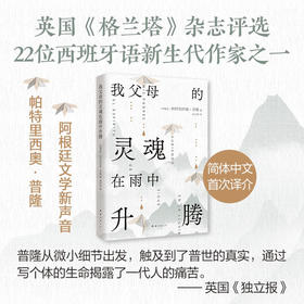 我父母的灵魂在雨中升腾 帕特里西奥·普隆 著 小说