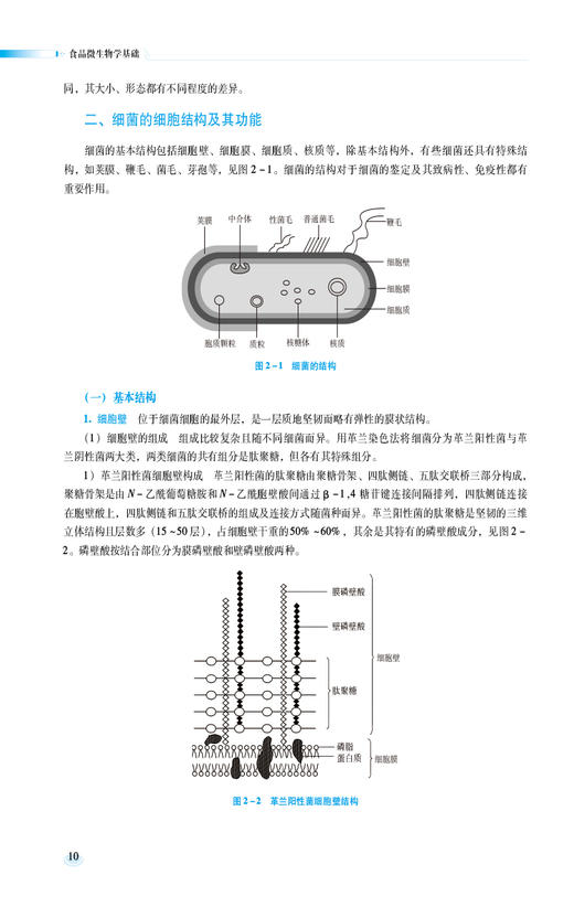 食品微生物学基础 第2版 全国高等职业院校食品类专业第二轮规划教材 杨玉红 洪剑锋 编著 中国医药科技出版社9787521443042  商品图4