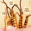 雷允上西藏乙级冬虫夏草10g/盒（-50） 商品缩略图4