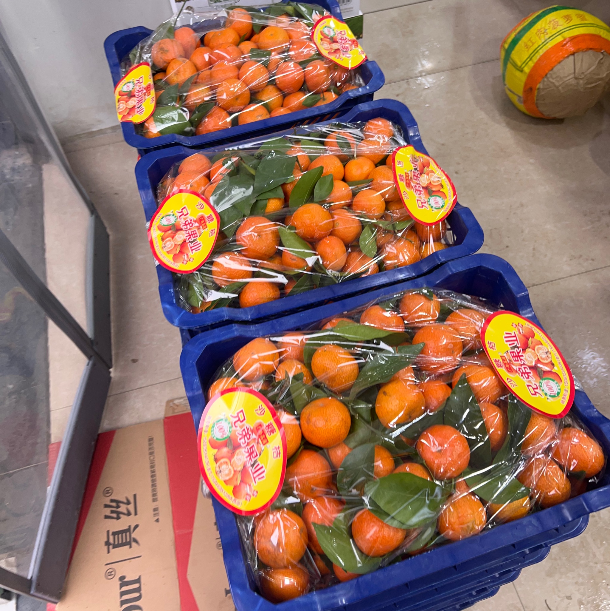 广西砂糖橘 带框10斤箱装