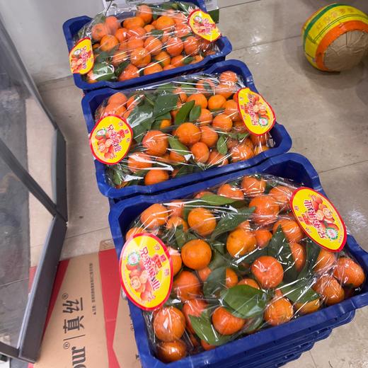 广西砂糖橘 带框10斤箱装 商品图0