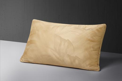 罗莱 双丝柔肤蚕丝枕2.0 商品图0