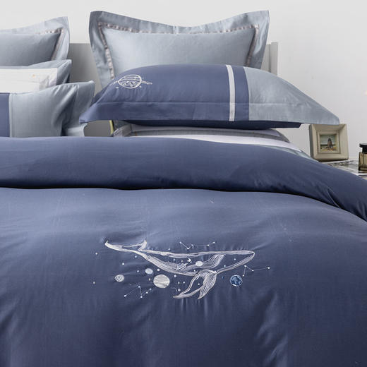 多喜爱 全棉新疆精梳棉简约时尚三/四件套 星辰入梦cs 商品图2