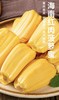 超大菠萝蜜 一口气吃到爽😋【海南果园现发海南黄肉菠萝蜜大果21-24斤】一整个新鲜菠萝蜜热带黄肉果肉特产 坏果包赔✈️ 顺丰/京东随机发货 商品缩略图2
