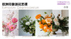 沙龙课-花艺-欧式 商品缩略图0
