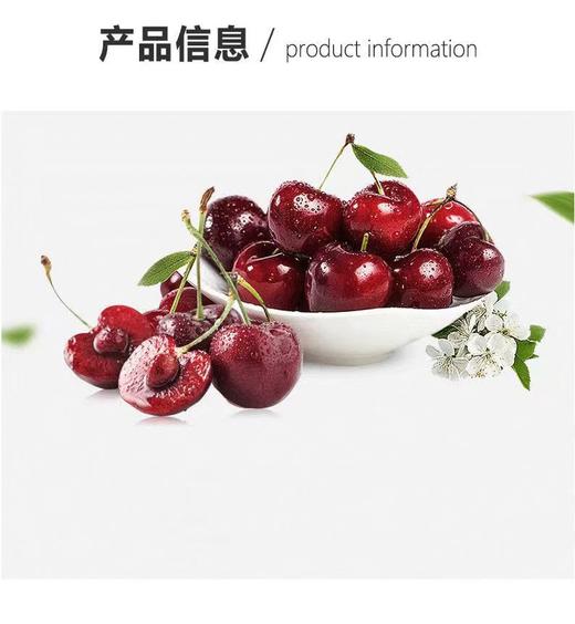 智利 桑缇娜车厘子【FY】 商品图1