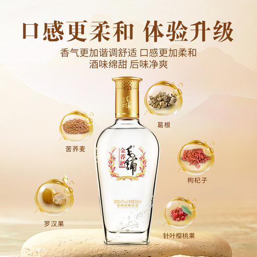 【低碳版】500ml42度毛铺金荞酒升级版 商品图6