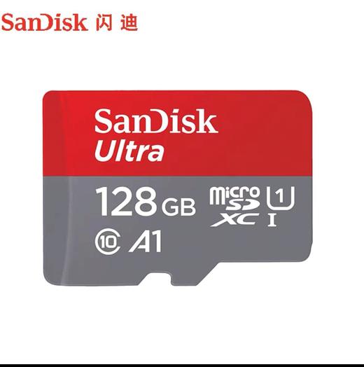 闪迪内存卡（空卡无内容） 商品图0