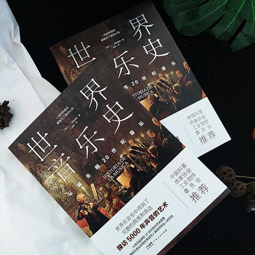 世界音乐史  从诞生到20世纪音 J.L.伊里亚特 著 音乐 商品图1