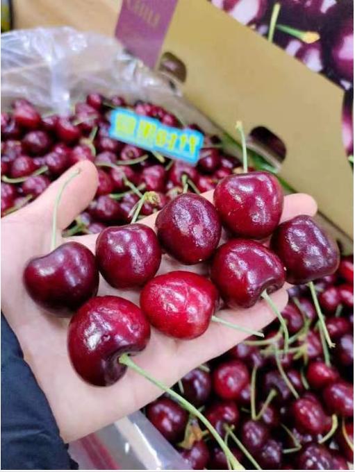 JD智利车厘子10斤装一箱 商品图2