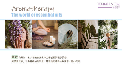 沙龙课-芳疗 商品图2