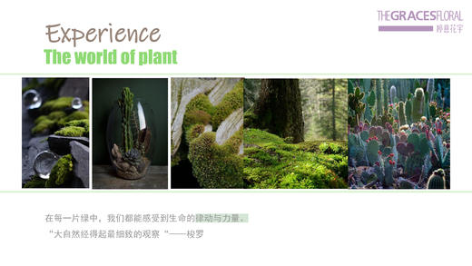 沙龙课-花植 商品图2