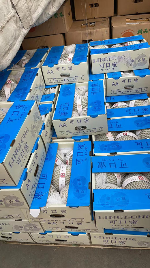 周五下午小区门口自提！可口蜜网纹瓜，冰淇淋口感，超甜，水份足，一口满满瓜香，一组两粒 商品图2