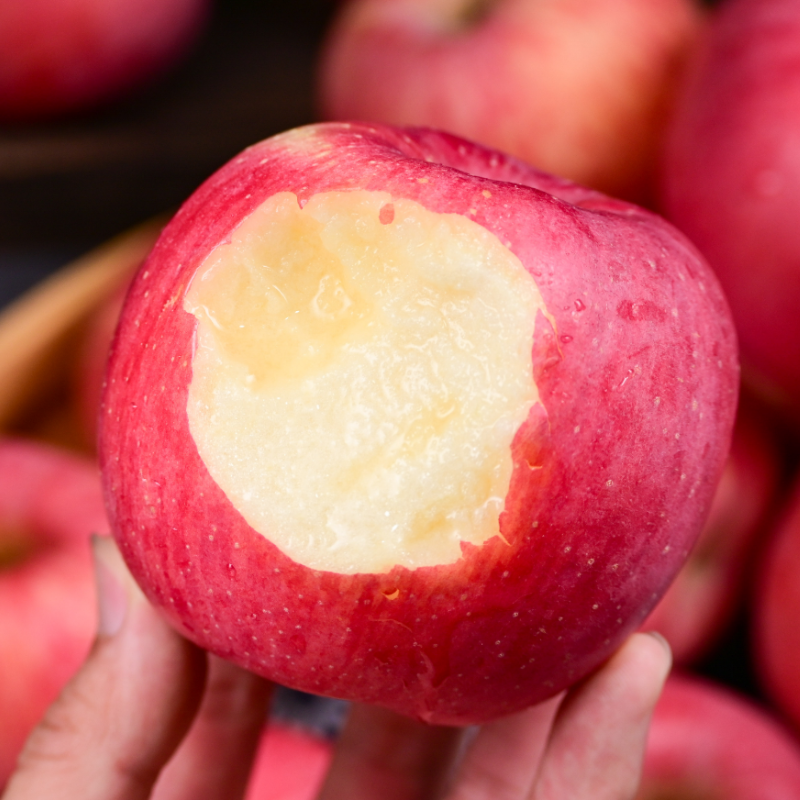 【洛川苹果5斤】| 拥有恰到好处的酸甜比 颜色红火又喜庆，口感脆甜、多汁、不打蜡、不催熟，是出口世界六大洲的“国礼苹果”