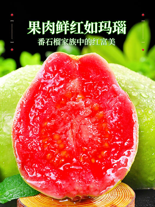 【树上熟芭乐！人称水果届“脂肪杀手”！】奶油胭脂红芭乐！树熟大果！热量低！并且含有丰富的维C！甜！香！糯！SGXH2401 商品图0