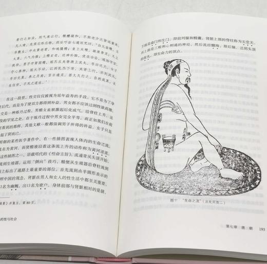 《中国古代的性与社会》，精装，32开，荷兰 高罗佩著，吴岳添译，书海出版社2023年12月一版一印，定价98，售价79元。 商品图11