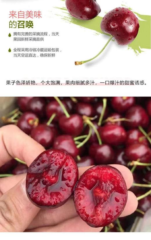 智利 桑缇娜车厘子【FY】 商品图3