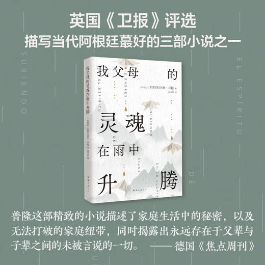 我父母的灵魂在雨中升腾 帕特里西奥·普隆 著 小说 商品图2