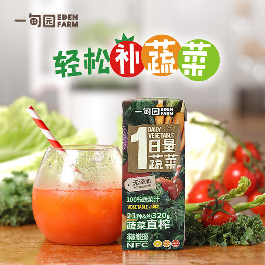 轻松补蔬菜 | 一甸园100%蔬菜汁 NFC纯蔬菜汁 早餐好搭配 200ml*10盒/箱 商品图0