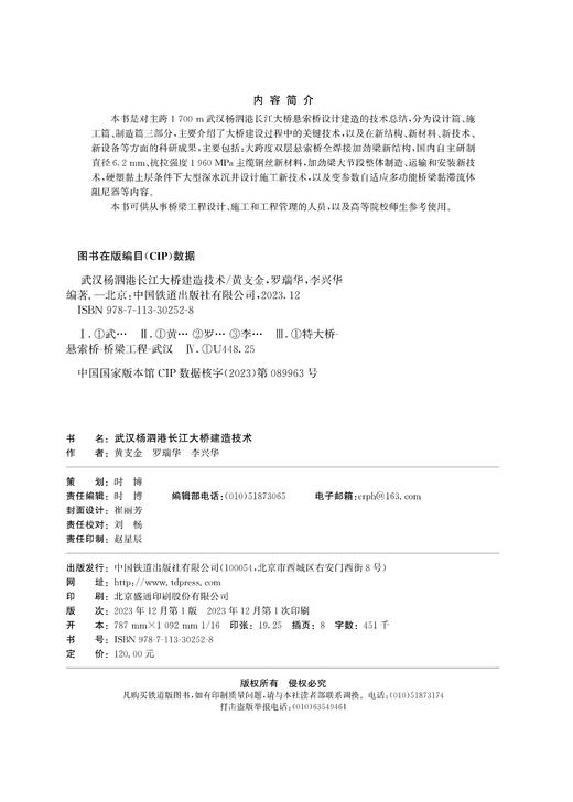 30252-8  武汉杨泗港长江大桥建造技术 商品图1