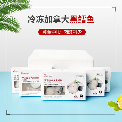加拿大黑鳕鱼一箱(300g/盒，5盒/箱) 商品图0