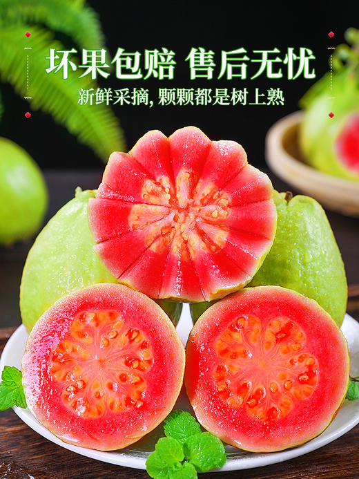 【树上熟芭乐！人称水果届“脂肪杀手”！】奶油胭脂红芭乐！树熟大果！热量低！并且含有丰富的维C！甜！香！糯！SGXH2401 商品图4