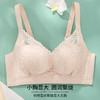雅黛丽内衣女小胸聚拢显大性感蕾丝文胸无钢圈收副乳防下垂女胸罩 商品缩略图2