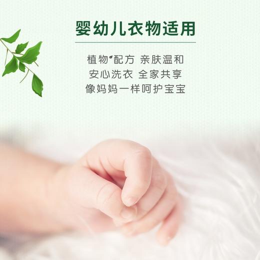 洁劲100植物皂粉1.6KG 商品图6