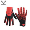 DYNAFIT软壳手套 08-0000070949 DNA 2 GLOVES 商品缩略图0