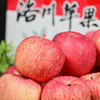 【洛川苹果5斤】| 拥有恰到好处的酸甜比 颜色红火又喜庆，口感脆甜、多汁、不打蜡、不催熟，是出口世界六大洲的“国礼苹果” 商品缩略图4