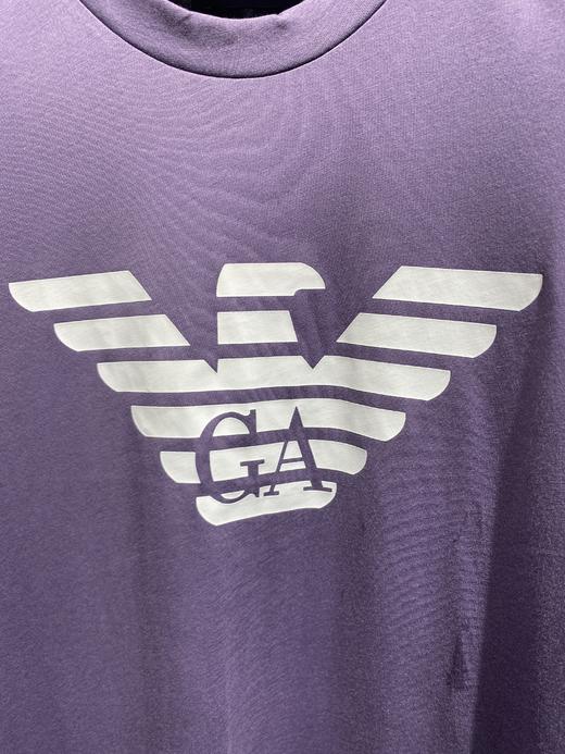 E ARMANI T恤衫男  8N1TN51JPZZ-08C5 AQUILA MULLED. 商品图1