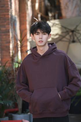 S34036568纯色帽衫卫衣