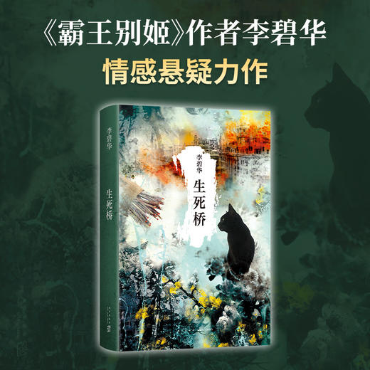 生死桥 商品图2