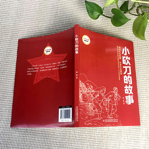 小砍刀的故事 (红色经典阅读书系 一年级二年级三四五年级六年级 儿童文学课外阅读)(勤耕) 商品图2